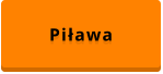 Piława
