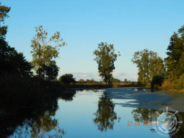Widok na rzekę - z prawej roślinność wodna, przez która ciężko się płynie. Rzeka Noteć.