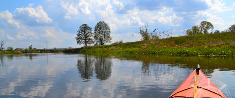 Widok z kajaka na Gwdzie, dwa drzewa w oddali, nabrzeża niskie i trawiaste.