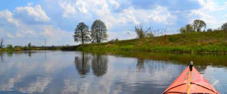 Widok z kajaka na Gwdzie, dwa drzewa w oddali, nabrzeża niskie i trawiaste.