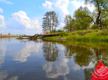 Na wodzie położony jest korzeń - przeszkoda dla kajakarzy, ale rzeka w tym miejscu jest szeroka, więc łatwo ominać przeszkodę. Rzeka idealna na rodzinna wycieczkę.