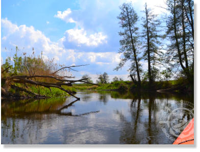 Omijanie przeszkody. Spływ z Byszek do Ujścia.